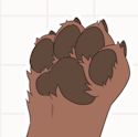 Foot paw beans