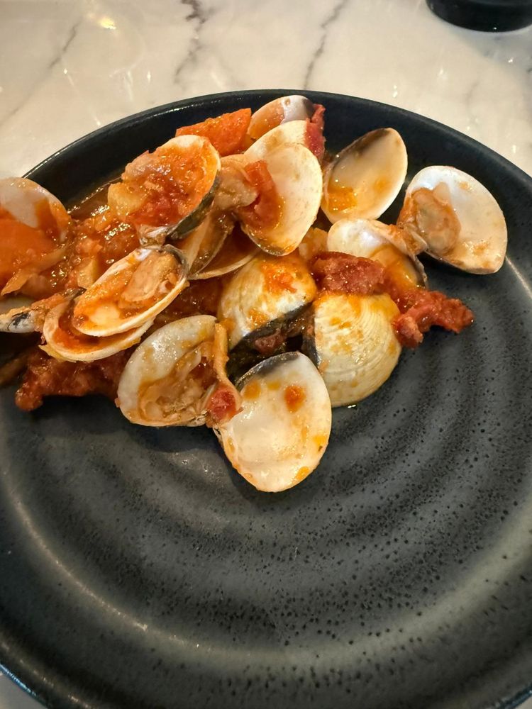 Venusmuscheln in Tomatensoße auf schwarzem Teller 