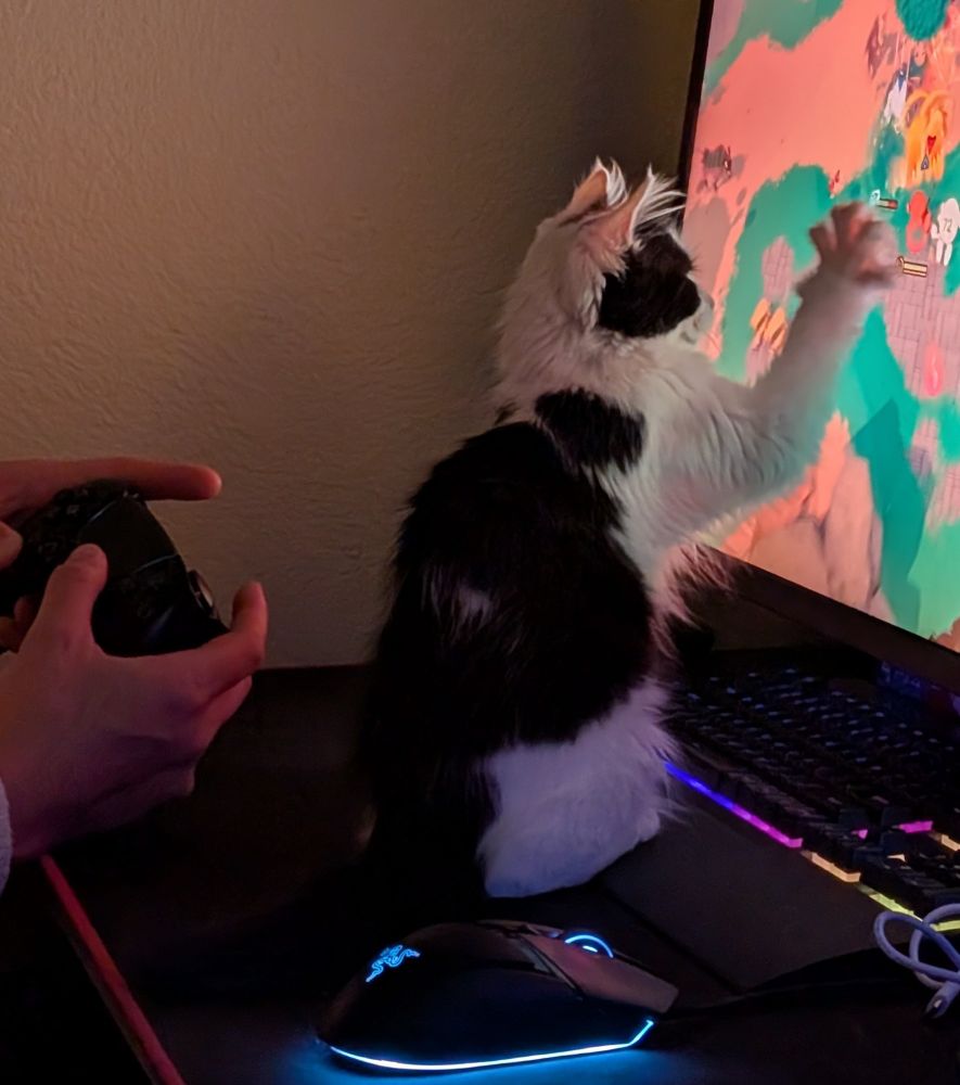 gamer kitten grabbing at the screen trying to catch the video games