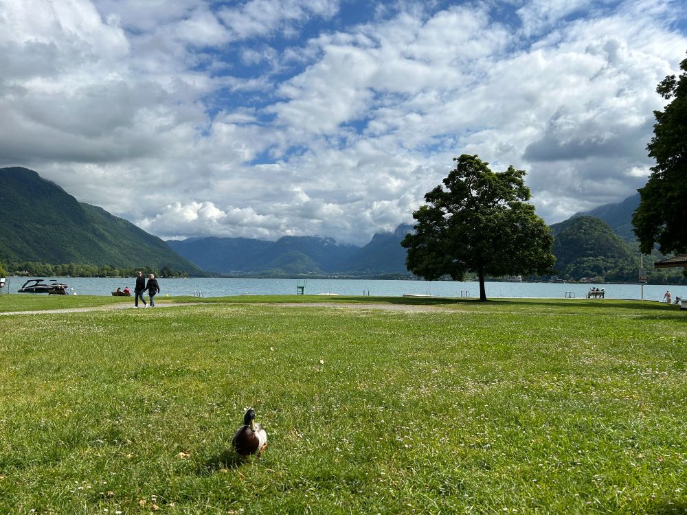 Grass beach at Talloires, France.