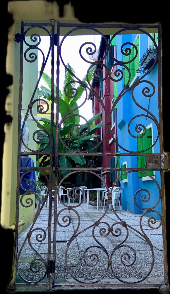Comment image