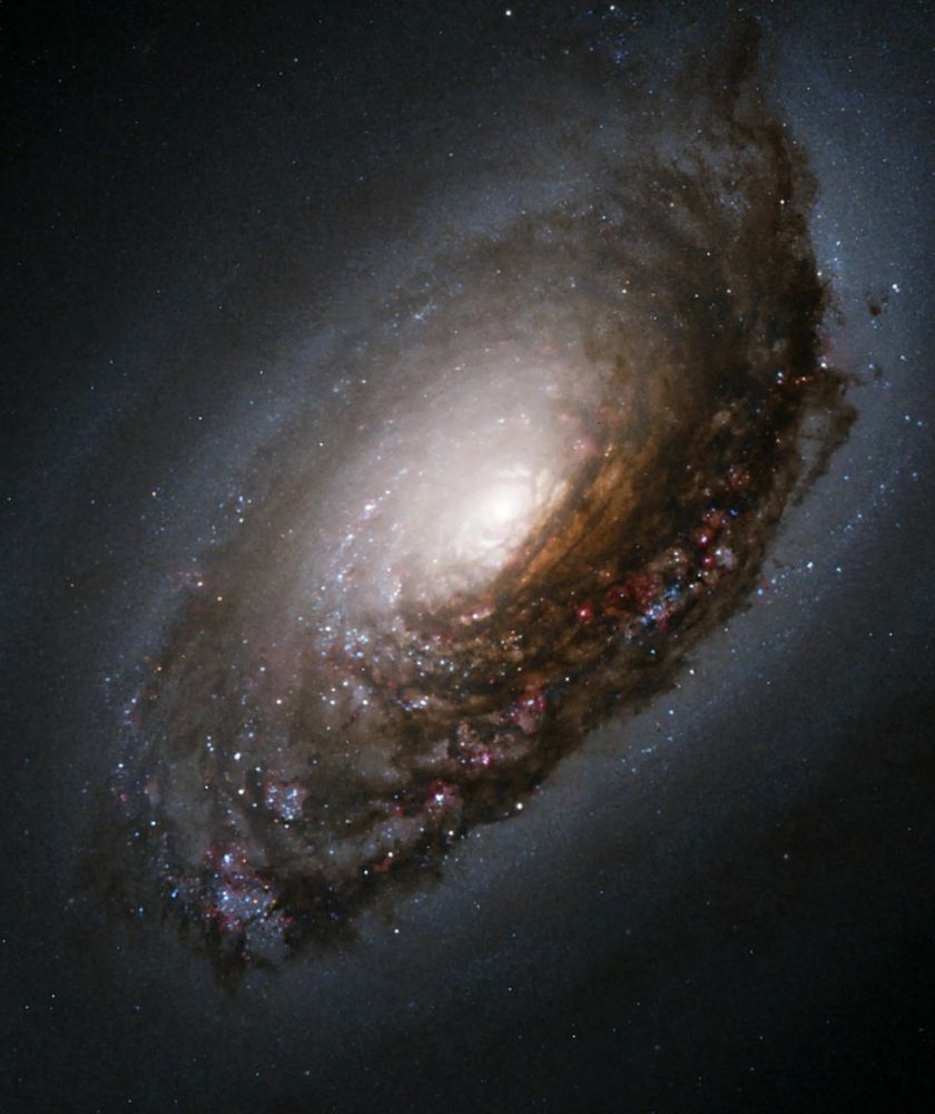 This image taken with the Hubble Space Telescope features NGC 4826, otherwise known as M64— a spiral galaxy located 17 million light-years away in the constellation of Coma Berenices (Berenice’s Hair). This galaxy is often referred to as the “Black Eye” or “Evil Eye” Galaxy because of the dark band of dust that sweeps across one side of its bright nucleus. M64 is known by astronomers for its strange internal motion. NASA and the Hubble Heritage Team (AURA/STScI); Acknowledgment: S. Smartt (Institute of Astronomy) and D. Richstone (U. Michigan)