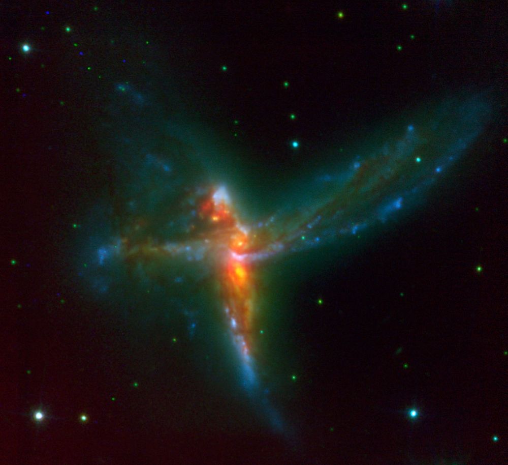 Using ESO's Very Large Telescope, an international team of astronomers has discovered a stunning rare case of a triple merger of galaxies. This system, which astronomers have dubbed 'The Bird' - although it also bears resemblance with a cosmic Tinker Bell - is composed of two massive spiral galaxies and a third irregular galaxy.

In this image, a 30-min VLT/NACO K-band exposure has been combined with archive HST/ACS B and I-band images to produce a three-colour image of the 'Bird' interacting galaxy system. The NACO image has allowed astronomers to not only see the two previously known galaxies, but to identify a third, clearly separate component, an irregular, yet fairly massive galaxy that seems to form stars at a frantic rate.