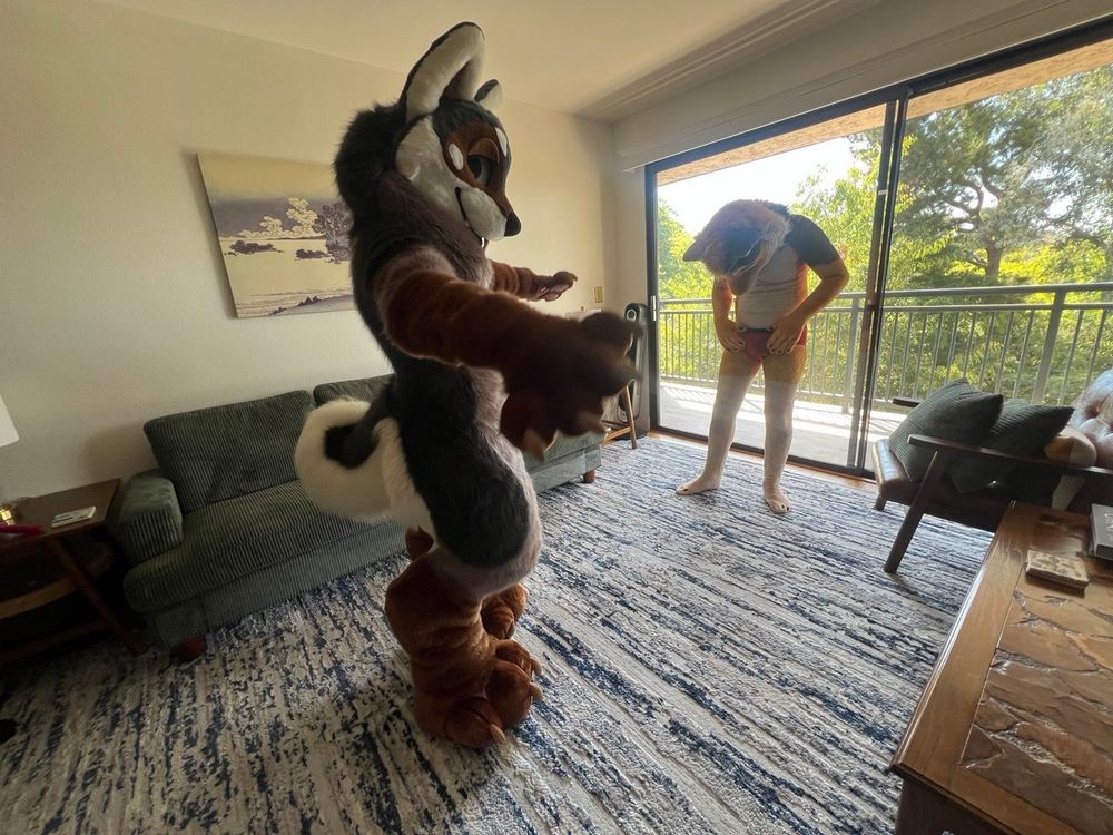 Dog stands confidently while cat adjusts himself