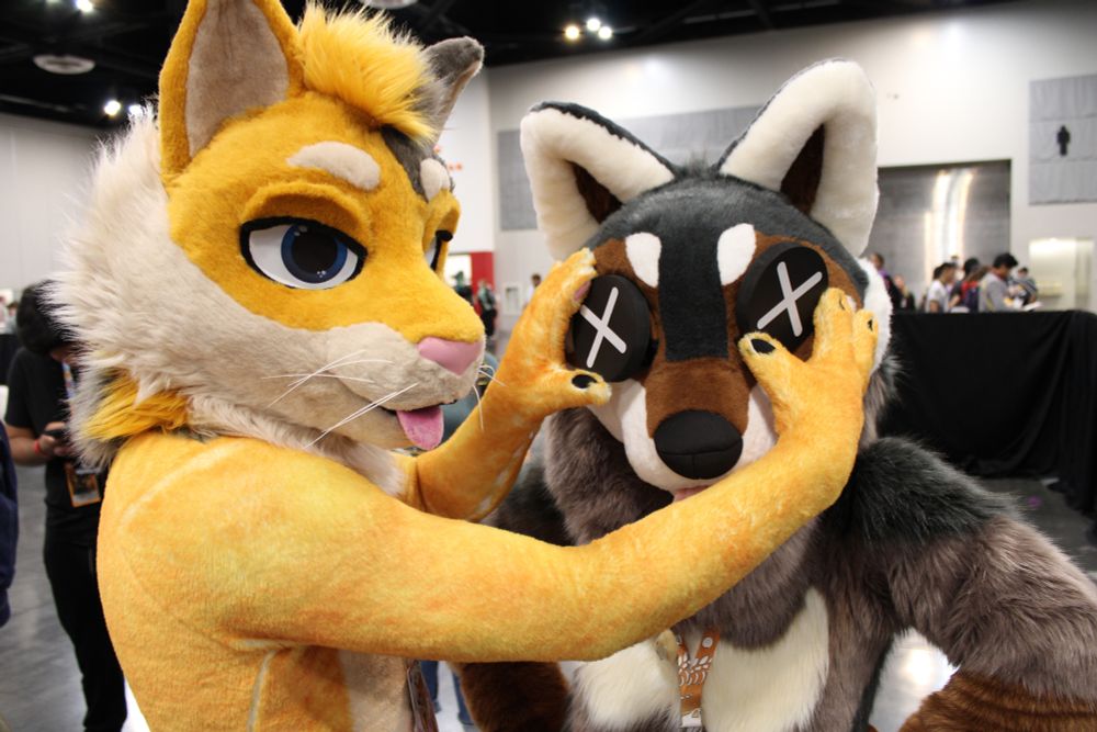 A cat fursuiter holding up two picks with Xs on them over the eyes of a doggie fursuiter.