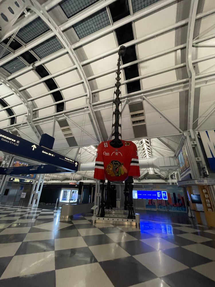 Brachiosaurus at OHare wearing a sports(?) jersey with a caricature I found shocking 