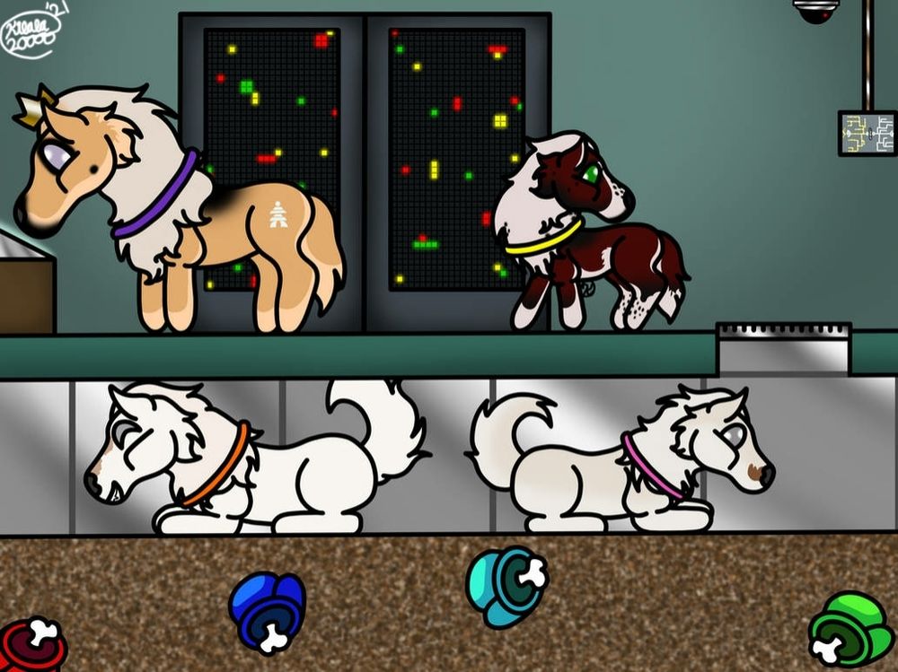 The red and white Tokota belongs to Kilala20000, the Tokota with the brown mustache belongs to SquawkinSquirrel on DeviantArt, and the other two belong to Shinobu-desu on DeviantArt.