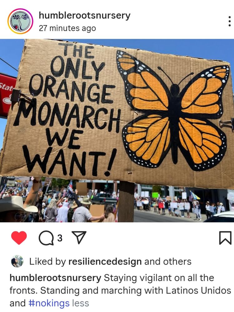 Protest banner with Monarch butterfly