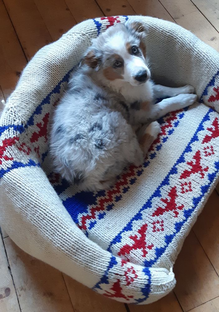 Hand knit sweater turned into a dog bed