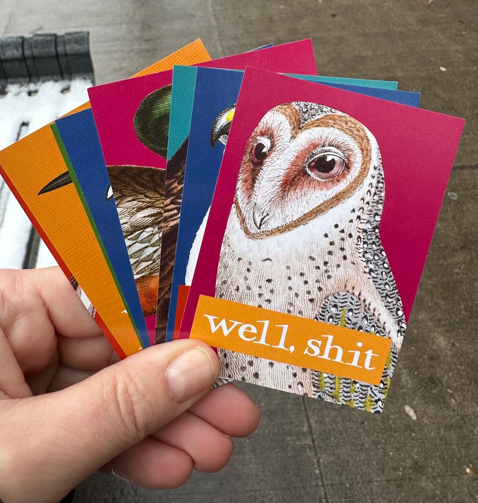 A hand holds an array of colourful cards. The card on top shows an illustration of a barn owl on a bright pink background. The words at the bottom say, “Well, shit.”