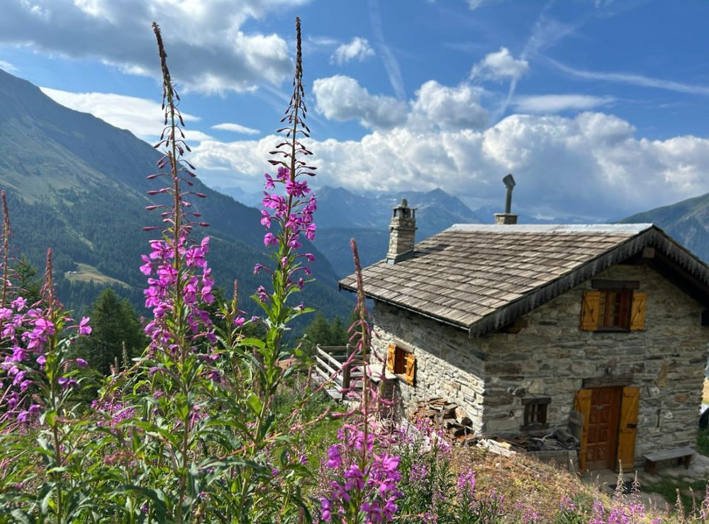 Mountains. Flowers. A stone cottage. It’s heaven. 