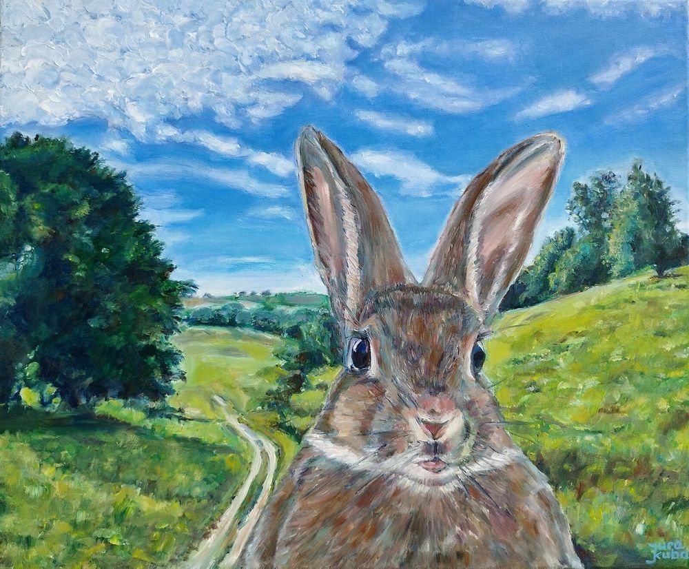 Oil painting depicts a grey bunny hare staring to the viewer in the landscape of hilly fields. Oil on canvas, 60 x 50 cm. Original animal art by Jura Kuba for sale.