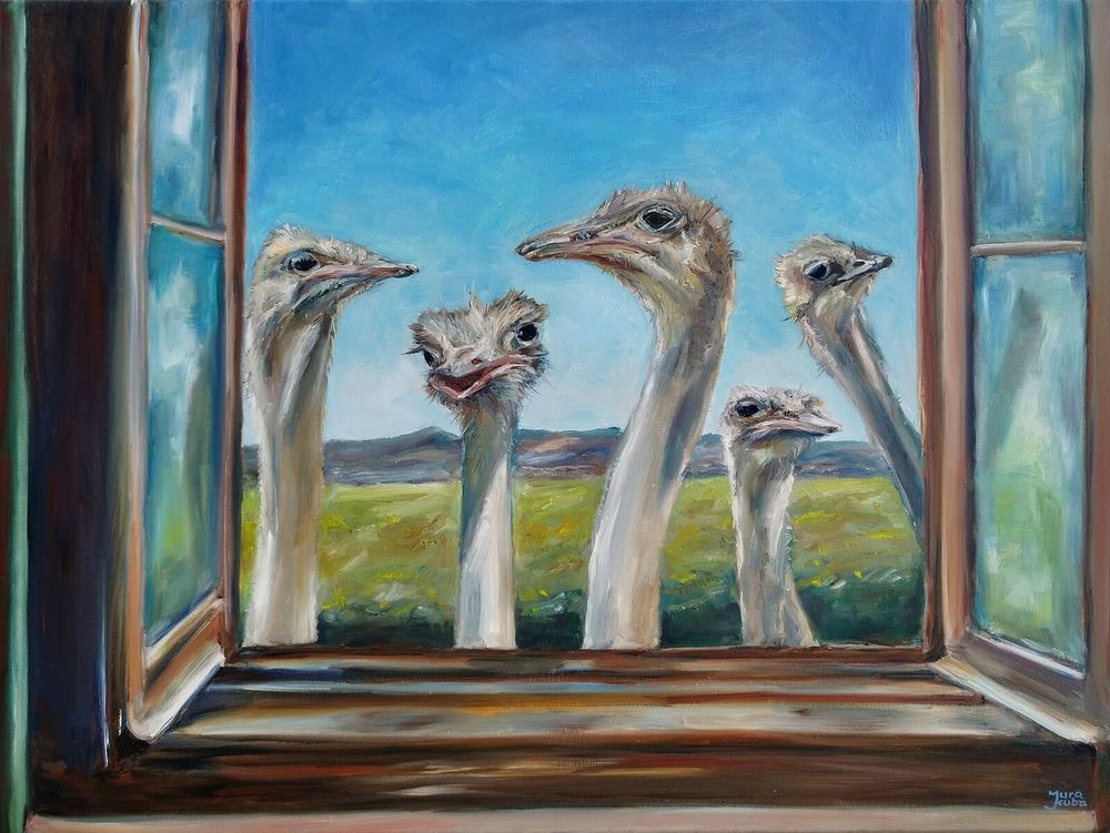 Curiuos ostriches looking inside through the open window. Oil on stretched canvas, 80 x 60 cm. Animal art for sale. 
I work with birds, cows and people. I paint them :) 
Jura Kuba Art