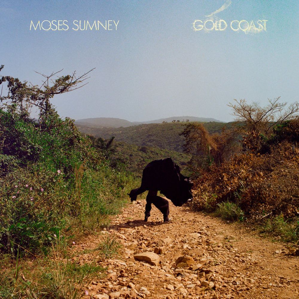 Gold Coast, by Moses Sumney