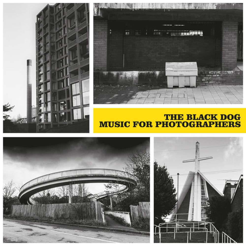 Dust Bunnies, by The Black Dog