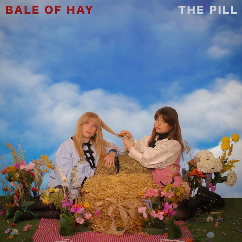 Bale of Hay