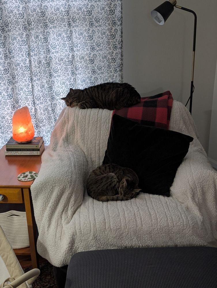 Two cats lay on different parts of a chair that has a heated blanket laid on top of it