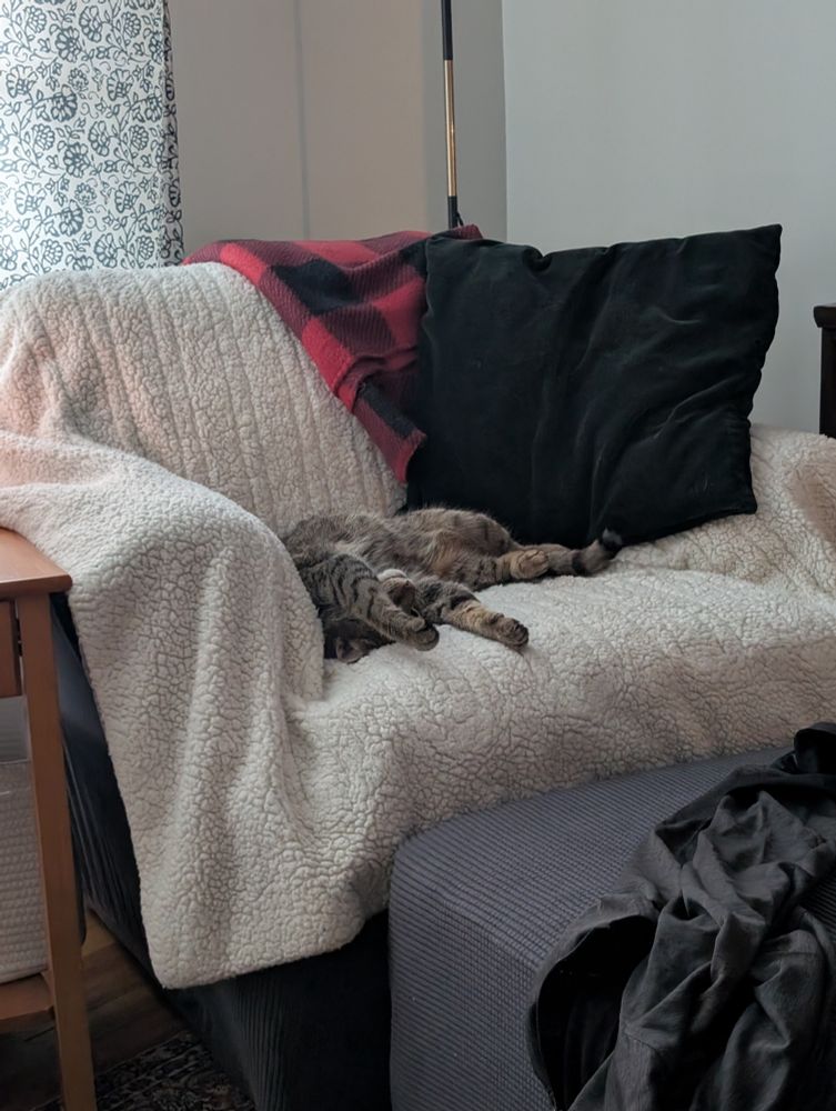 A cat laying on her back with a leg outstretched over her face