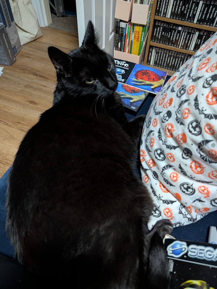 A black cat sits looking bewildered on a sofa cuddling up to a cushion, around them are various games on the Sega Saturn.