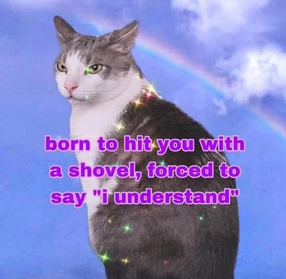Un chat qui dit born to hit u with a shovel forced to Say I understand