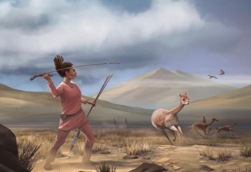 Prehistoric women hunted as often as men and were better suited for it, studies say