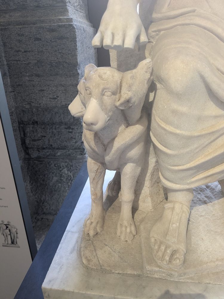 Bild på antik marmorstaty där man kan se en bit av ett knä och den trehövdade Cerberus som tittar upp på sin husse med ett huvud på sned. 