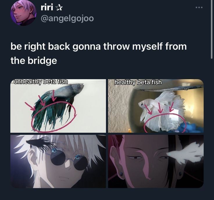 Comment image