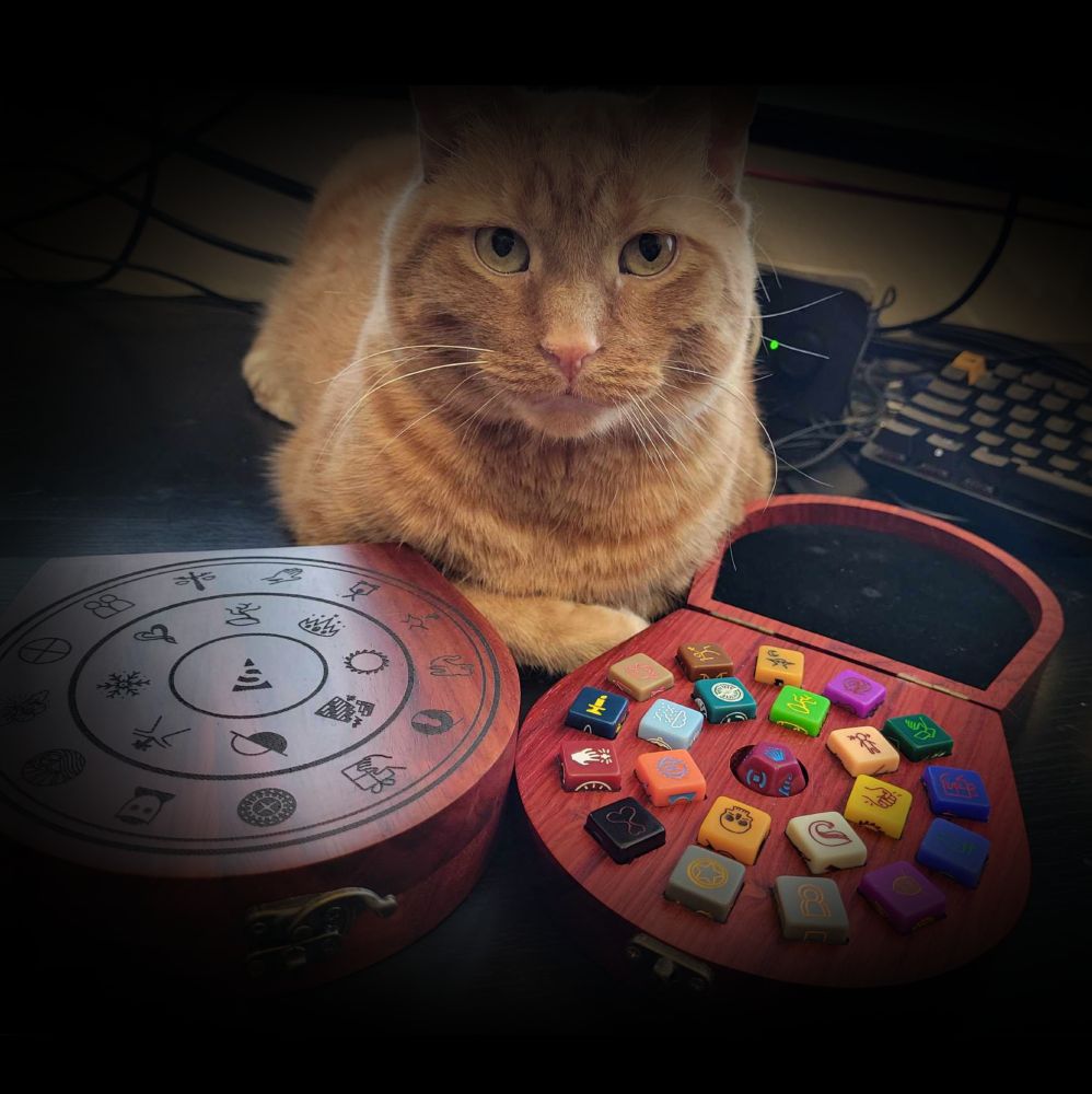 An orange handsome cat in front of wooden dice boxes with pretty dice inside!