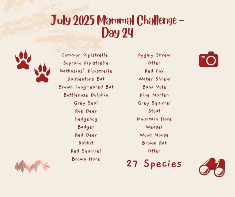 Infographic listing the 27 mammal species recorded so far.