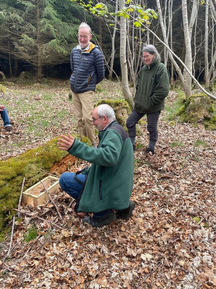 Trainer crouched by a small mammal camera trapping box next to miss-covered fallen tree trunk, and two trainees watching on.