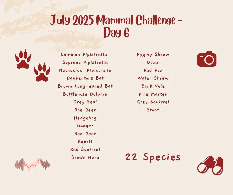 Infographic listing the 22 mammal species recorded by day 6 of mammal challenge.