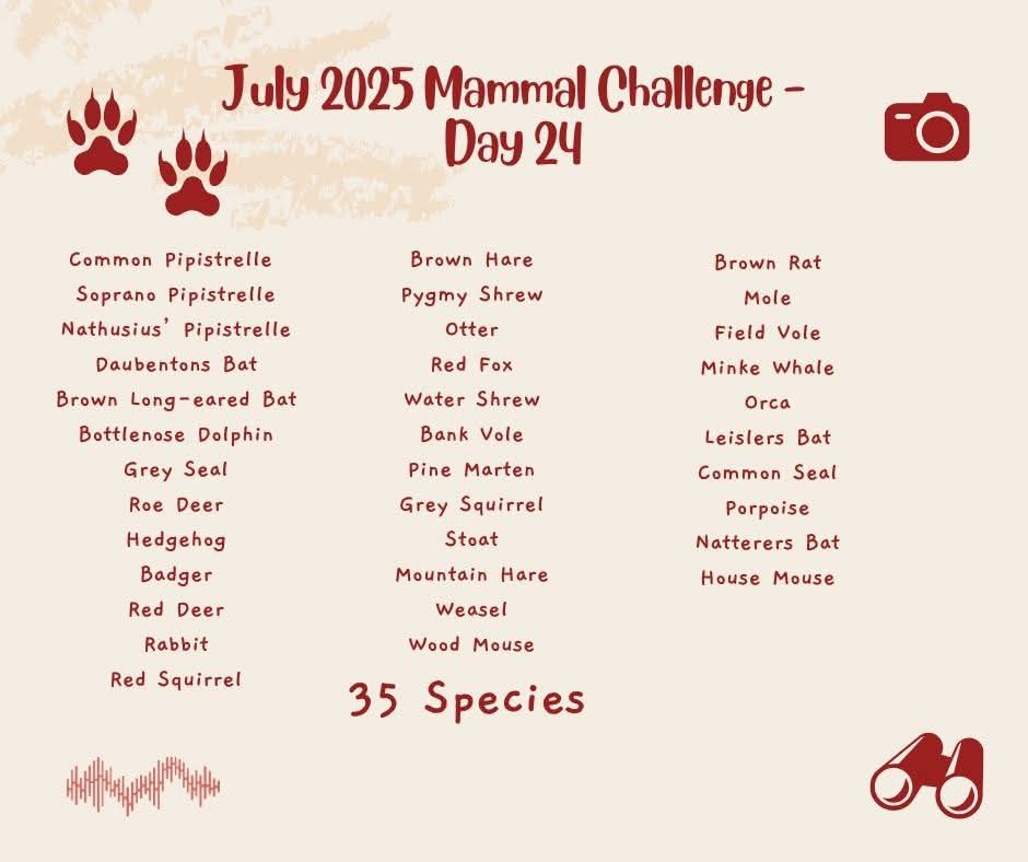 Infographic listing the 35 mammal species reported.