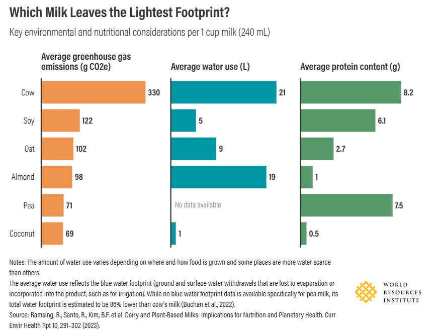 Which Milk Leaves the Lightest Footprint?
Key environmental and nutritional considerations per 1 cup milk (GHG emissions, water use, and protein content)

Cow's milk has highest GHG emissions and water use but also highest protein content

Soy milk and pea milk have high protein content and low GHG emissions and water use

Oat milk and coconut milk have low GHG emissions and water use but low protein content

Almond milk has low GHG emissions, high water use, and low protein content