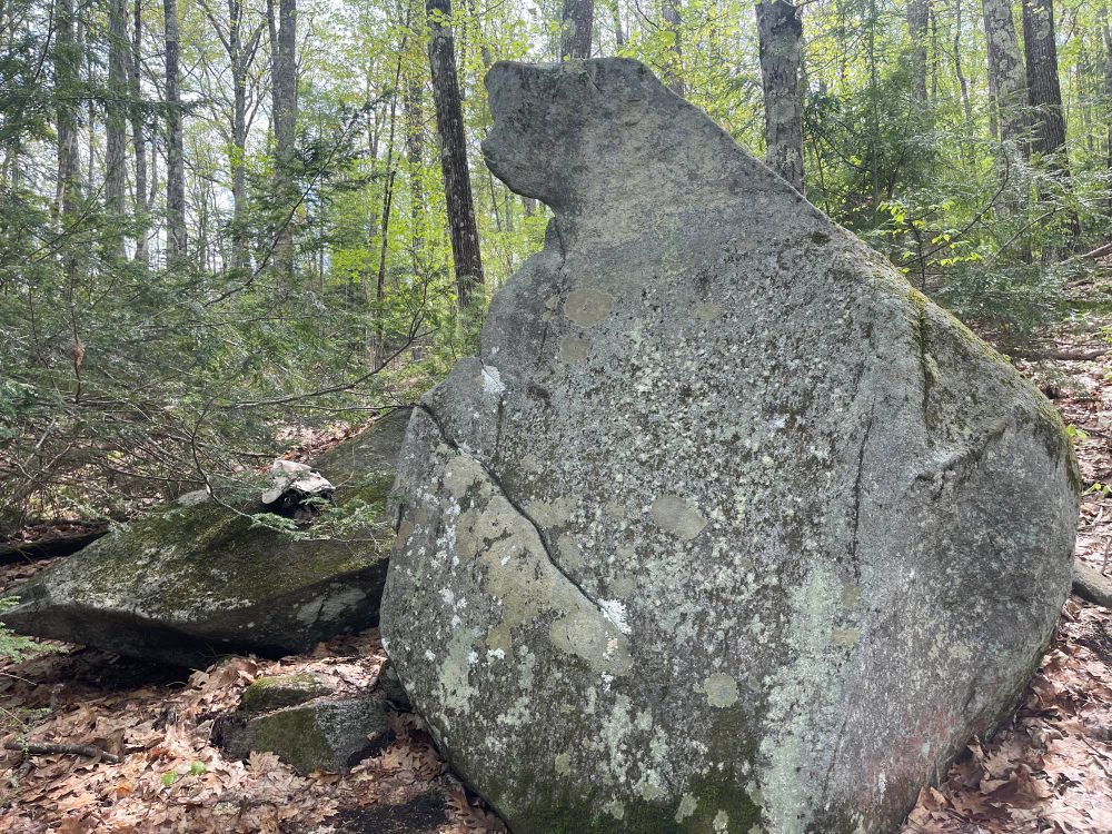 “Bear Rock” was cool to find on the way up.