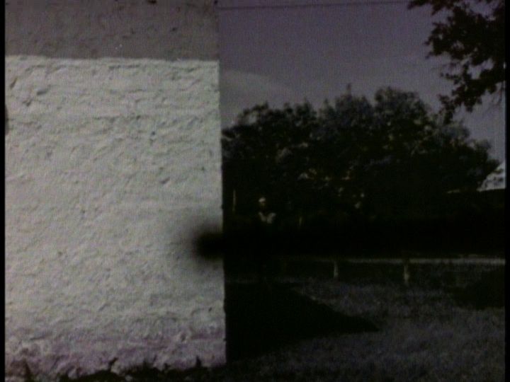 A nude woman in the distance walks towards the camera, away from a grove of trees and a fence. There is a white wall to her left, and at the edge of this wall can be seen a black smudge - evidence of optical censorship so that we can't see the nude woman's body.