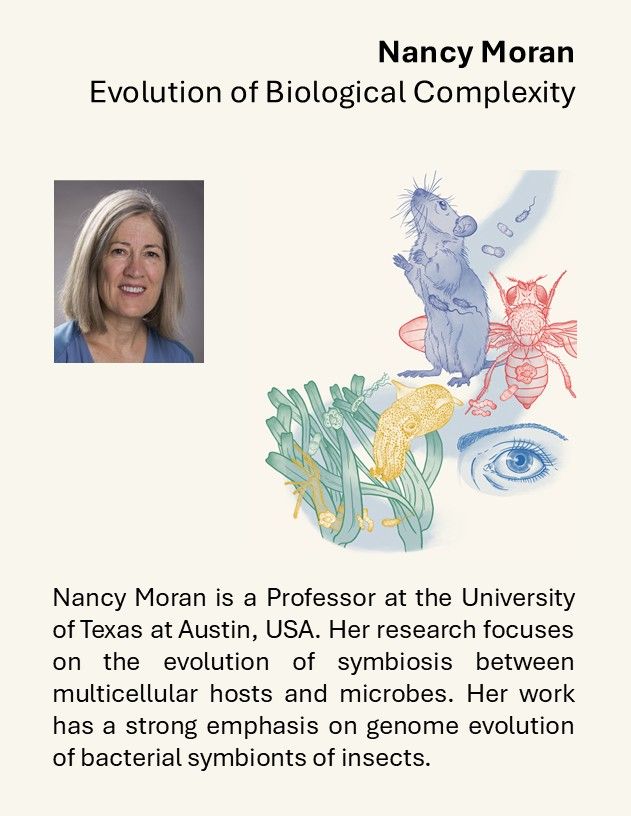 Nancy Moran is a Professor at the University of Texas at Austin. Her research focuses on the evolution of symbiosis between multicellular hosts and microbes. Her work has a strong emphasis on genome evolution of bacterial symbionts of insects.
