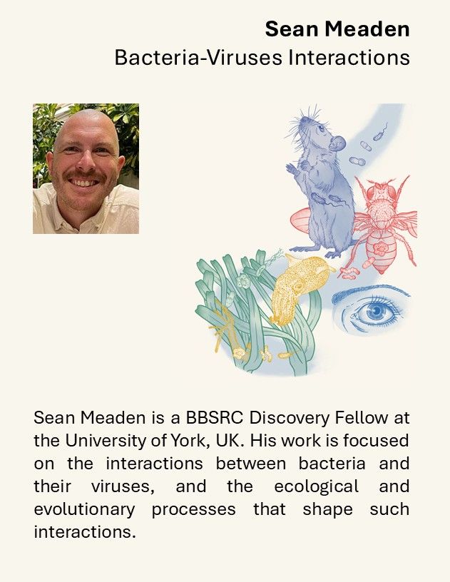 Sean Meaden is a BBSRC Discovery Fellow. His work is focused on the interactions between bacteria and their viruses, and the ecological and evolutionary processes that shape such interactions.