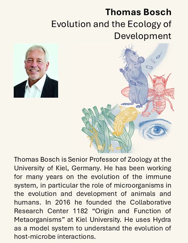 Thomas Bosch is Senior Professor of Zoology at the University of Kiel, Germany. He is an evolutionary developmental biologist and has been working for many years on the evolution of the immune system, in particular the role of microorganisms in the evolution and development of animals and humans. In 2016 he founded the Collaborative Research Center 1182 “Origin and Function of Metaorganisms” at Kiel University. He uses Hydra as a model system to understand the evolution of host-microbe interactions.