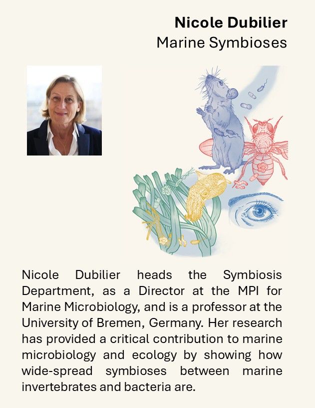 Nicole Dubilier heads the Symbiosis Department, as a Director at the MPI for Marine Microbiology, and is a professor at the University of Bremen. Her research has provided a critical contribution to marine microbiology and ecology by showing how wide-spread symbioses between marine invertebrates and bacteria are.