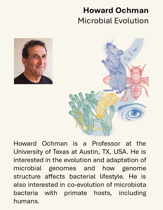 Howard Ochman is a Professor at the University of Texas at Austin, TX, USA. He is interested in the evolution and adaptation of microbial genomes and how genome structure affects bacterial lifestyle. He is also interested in co-evolution of microbiota bacteria with primate hosts, including humans.