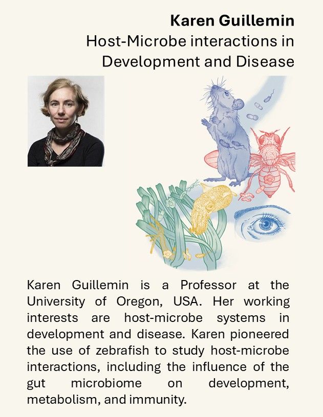 Karen Guillemin is a Professor at the University of Oregon. Her working interests are host-microbe systems in development and disease. Karen pioneered the use of zebrafish to study host-microbe interactions, including the influence of the gut microbiome on development, metabolism, and immunity.