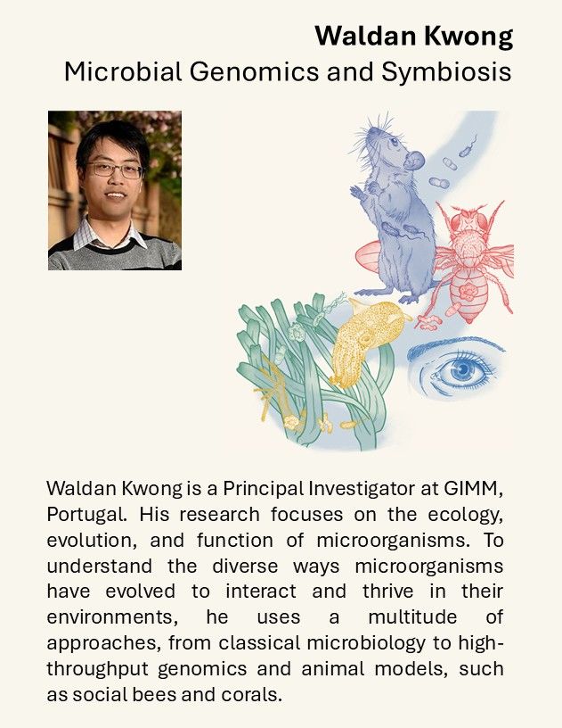 Waldan Kwong is a Principal Investigator at GIMM. His research focuses on the ecology, evolution, and function of microorganisms. To understand the diverse ways microorganisms have evolved to interact and thrive in their environments, he uses a multitude of approaches, from classical microbiology to high-throughput genomics and animal models, such as social bees and corals.