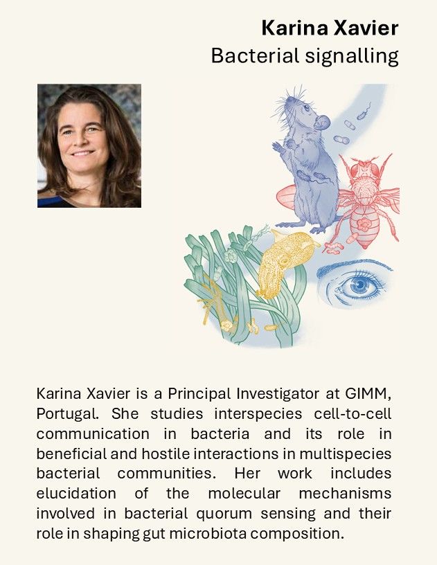 Karina Xavier is a Principal Investigator at GIMM. She studies interspecies cell-to-cell communication in bacteria and its role in beneficial and hostile interactions in multispecies bacterial communities. Her work includes elucidation of the molecular mechanisms involved in bacterial quorum sensing and their role in shaping gut microbiota composition.
