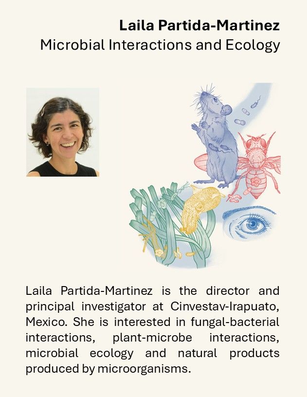 Laila Partida-Martinez is the director and principal investigator at Cinvestav-Irapuato. She is interested in fungal-bacterial interactions, plant-microbe interactions, microbial ecology and natural products produced by microorganisms.