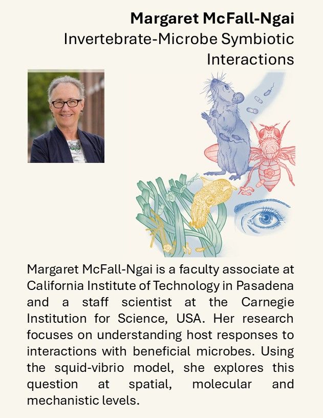 Margaret McFall-Ngai is a faculty associate at California Institute of Technology in Pasadena and a staff scientist at the Carnegie Institution for Science. Her research focuses on understanding host responses to interactions with beneficial microbes. Using the squid-vibrio model, she explores this question at spatial, molecular and mechanistic levels.