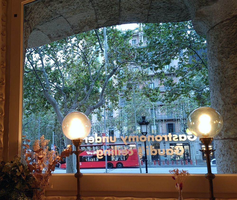 Sparkling Christmas decorations hang amidst the branches of leafy green trees, with Modernisme buildings in the background. The photo was taken through a window of La Pedrera, and is framed by flowers and two old-fashioned globe lamps in the foreground.