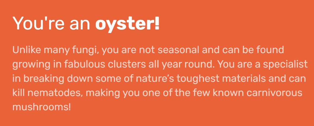You're an oyster!
Unlike many fungi, you are not seasonal and can be found growing in fabulous clusters all year round. You are a specialist in breaking down some of nature’s toughest materials and can kill nematodes, making you one of the few known carnivorous mushrooms!