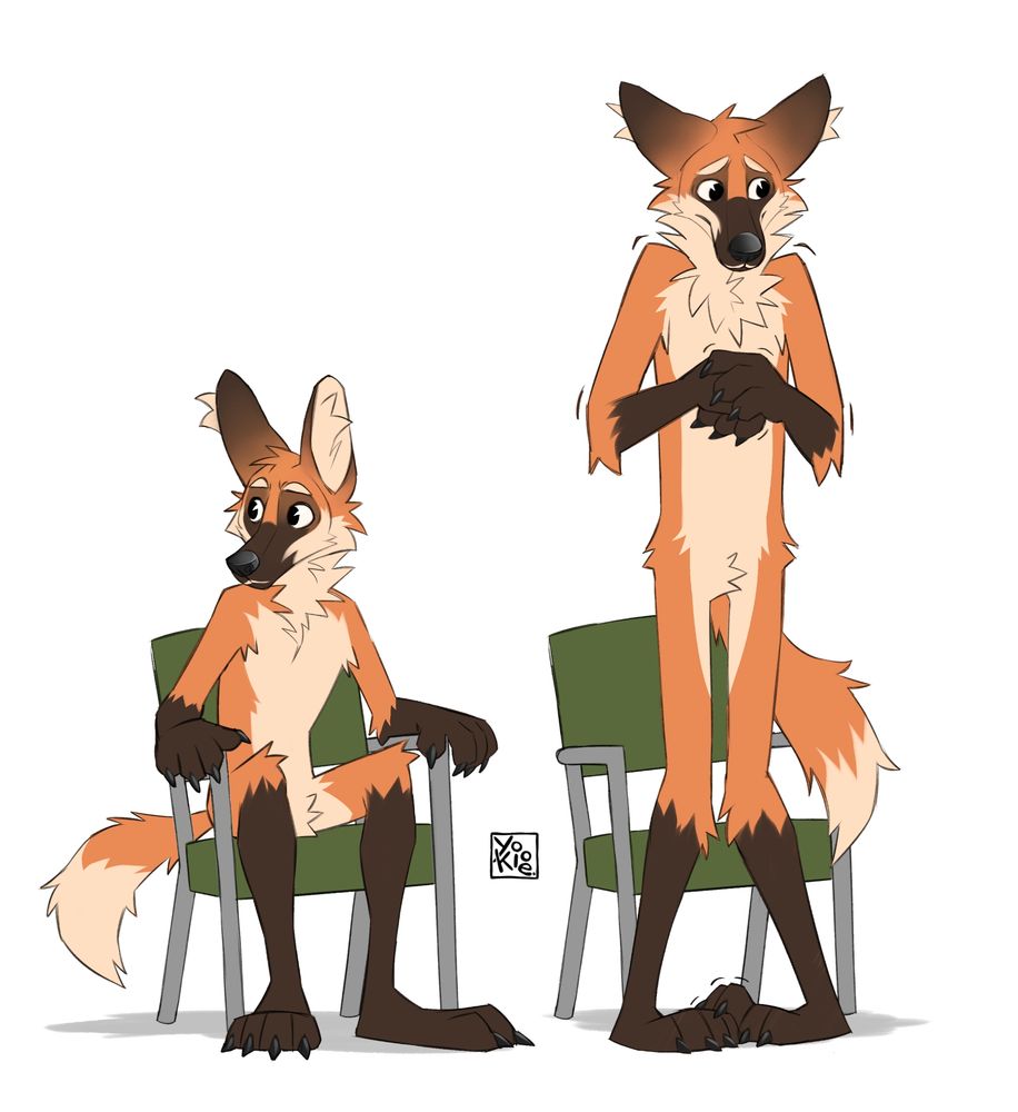 Two instances of a maned wolf guy. One where he's sitting, looking around. The other where he has stood up and is looking around anxiously.