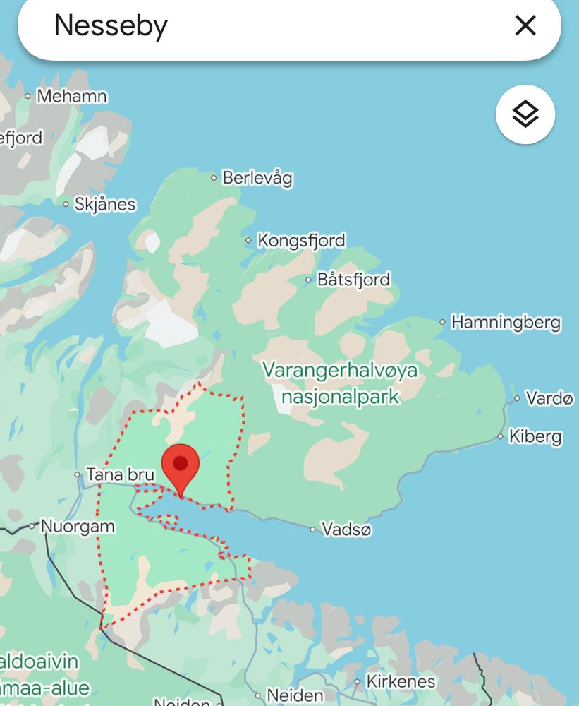 Skjermdump fra Google maps med kartutsnitt av Øst-Finnmark med Varangerbotn kommune uthevet og nål i tettstedet Nesseby.