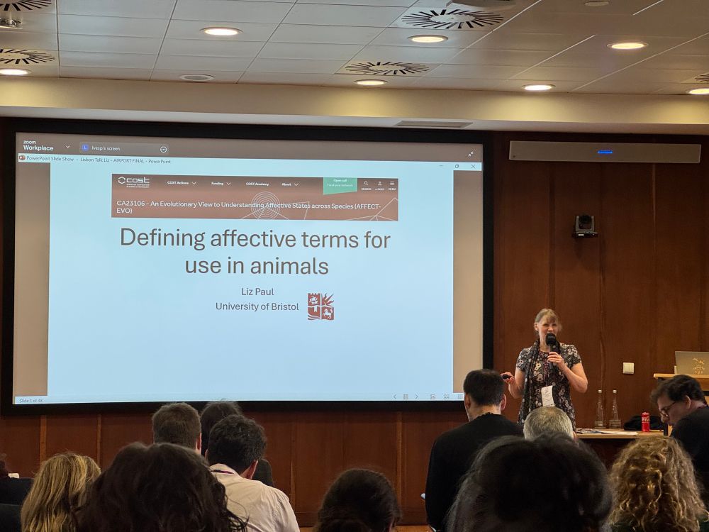 Liz Paul, affective terms in animals